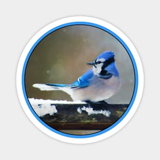 Blue Jay Magnet